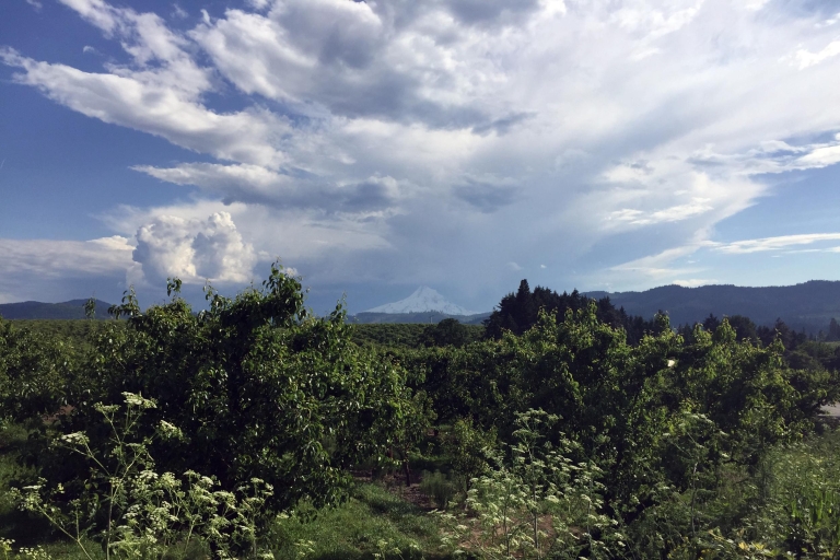 Portland: Całodniowa wycieczka do wina i wodospadów Mount HoodWycieczka grupowa
