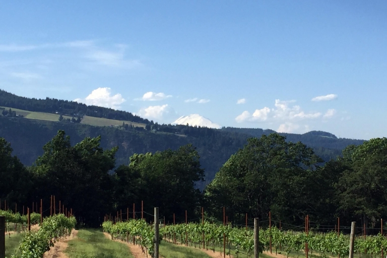 Portland: visite d'une journée du vin et des cascades du mont HoodVisite privée