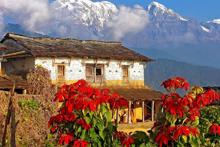 Pokhara: Small Group Day Hike to Australian Camp