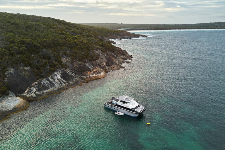 خليج بريمر: رحلة استكشافية لمشاهدة الحيتان القاتلة في وادي بريمرخليج بريمر: رحلة الحوت القاتل بريم