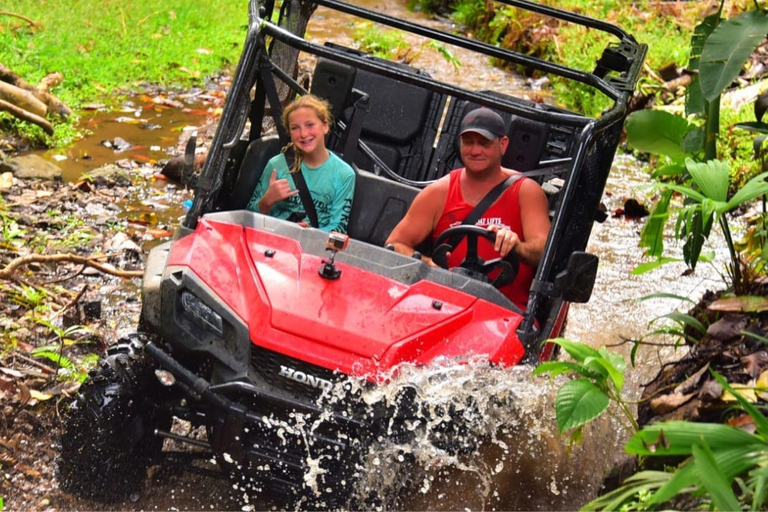 Punta Cana: Jungle Buggy Tour with Monkeyland Visit