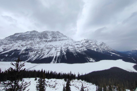بحيرة أبراهام الفقاعية الجليدية/شلالات سونوابتا وبحيرة بيتو وبحيرة باوبحيرة فقاعات الجليد أبراها
