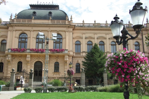 Belgrade: visite de Novi Sad et Sremski Karlovci avec dégustation de vinsVisite privée
