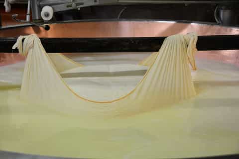 Da Firenze: tour della fabbrica di aceto balsamico e parmigiano