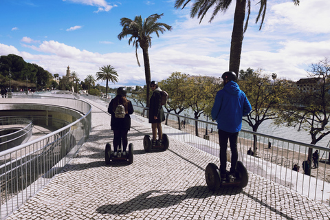 Sevilla: Tour en Segway de 3 horasSevilla: Tour privado de 3 horas en Segway