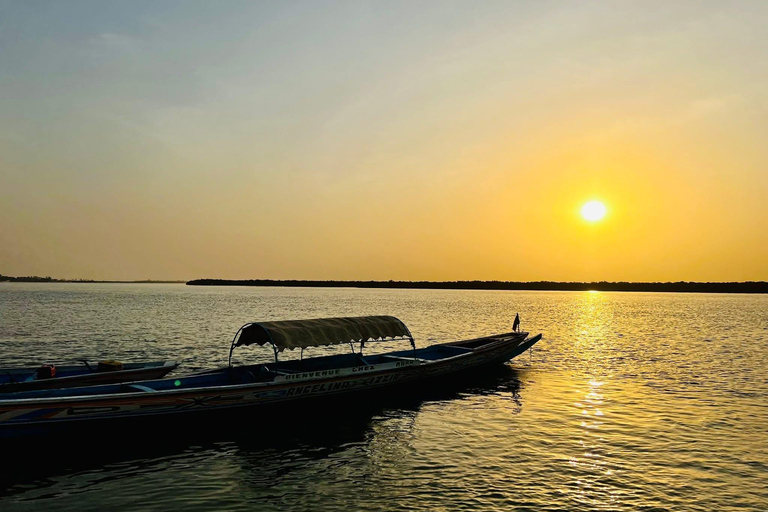 Sine Saloum Day Tour: Mangroves, Islands, and Authentic Villages Sine Saloum by dugout canoe: mangroves, Bird Island, and Mar Lodj