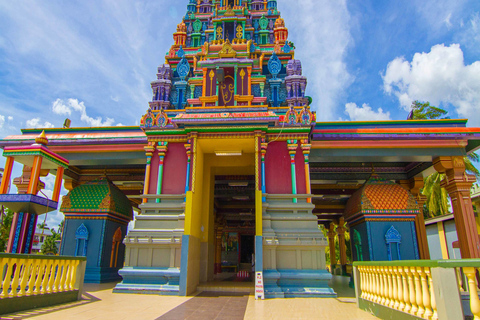 Fidżi: Ogród śpiącego olbrzyma i wycieczka po wiosce ViseiseiHotele Ex Nadi_Denarau_Wailoaloa