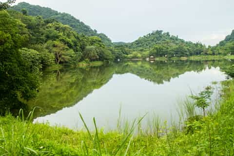 Visit Cuc Phuong National Park: Day Trip From Ha Noi