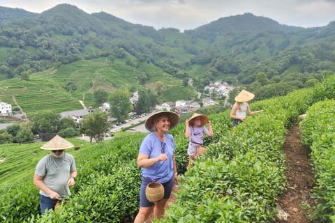 Classic Travel：Shanghai & Suzhou & Hangzhou & One- day tour