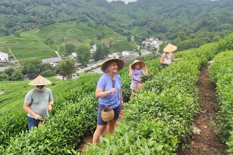 Classic Travel：Shanghai & Suzhou & Hangzhou & One- day tour Shanghai to Hangzhou Private Day Trip