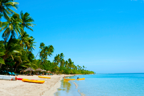 Fidżi: Kulturalna przygoda na wyspie i rejs po dżungliHotele na wybrzeżu koralowym - Warwick do Shangri-la. Odbiór od 8.20 rano