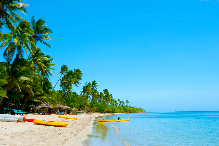 Fidżi: Kulturalna przygoda na wyspie i rejs po dżungliHotele na wybrzeżu koralowym - Warwick do Shangri-la. Odbiór od 8.20 rano