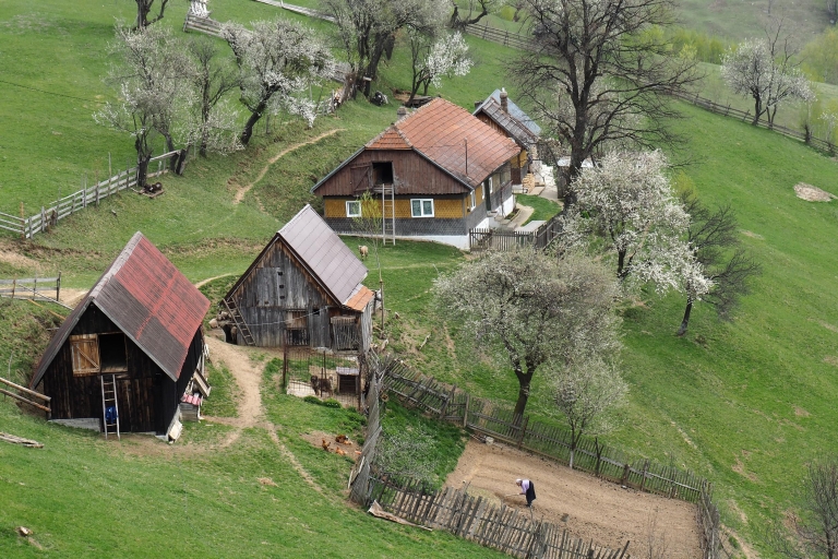 Desde Brasov: tour del día de los pueblos de montaña rumanosDesde Brasov: excursión de un día a los pueblos rumanos de montaña en inglés