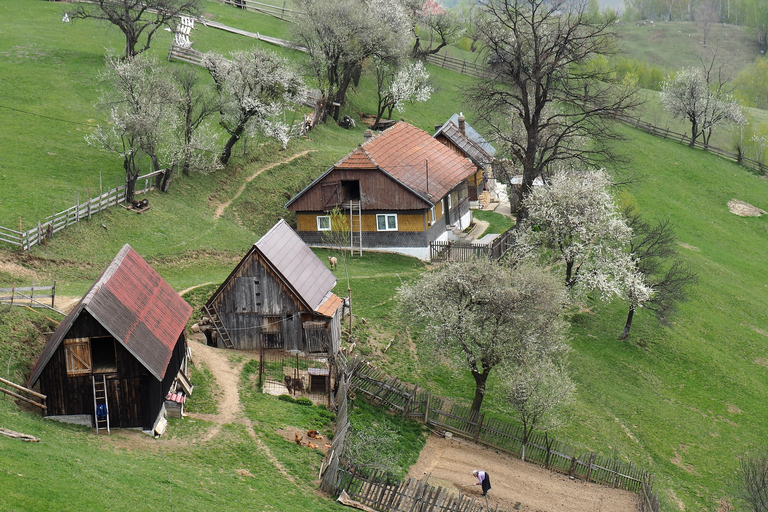 Ab Brasov: Tagestour durch die rumänischen BergdörferAb Brasov: Rumänische Bergdorf-Tagestour auf Englisch