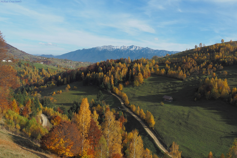 Z Brasov: Rumuńska wycieczka górska wioskiZ Braszowa: wycieczka po rumuńskich górskich wioskach w języku angielskim