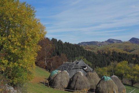 Desde Brasov: tour del día de los pueblos de montaña rumanosDesde Brasov: excursión de un día a los pueblos rumanos de montaña en inglés