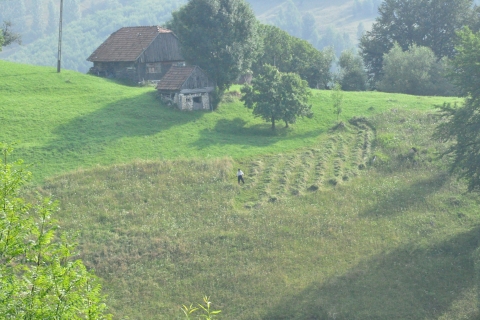 Van Brasov: dagtocht door Roemeense bergdorpenVan Brasov: Roemeense bergdorpen-dagtour in het Engels
