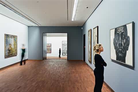 Vienna: Museo dell'Albertina e sale di rappresentanza