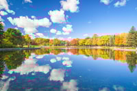 Montreal, geleide bustour - Housity