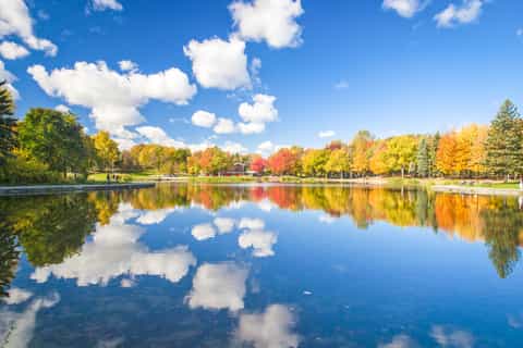 Montreal: 3.5-Hour Guided Bus Tour