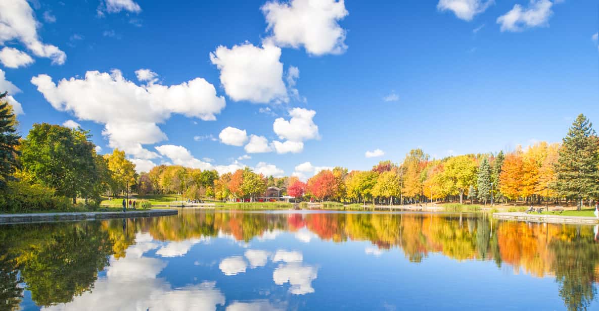 Montreal: 3.5-Hour Guided Bus Tour