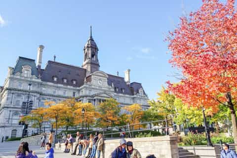 Montreal: 3.5-Hour Guided Bus Tour