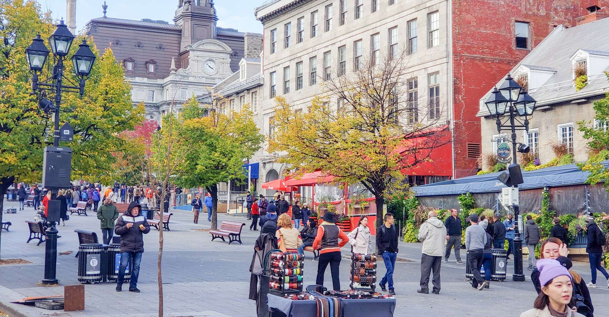 Montreal: Guided Bus Tour photo 8