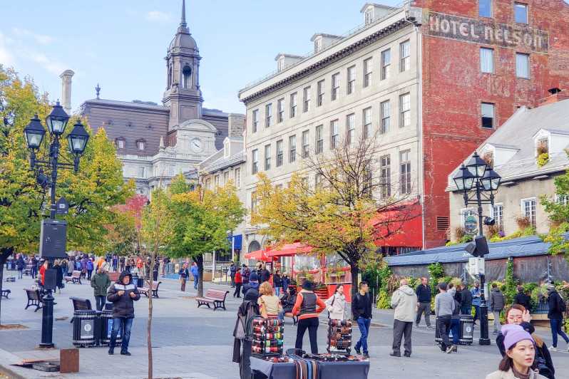 guided bus tours of montreal