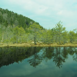From Brasov: Small-Group Volcanic Lake Day Trip