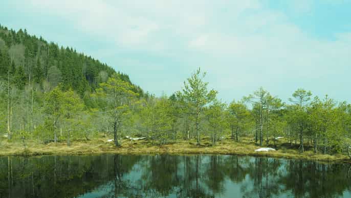 from brasov smallgroup volcanic lake day trip