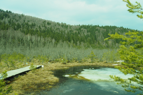 From Brasov: Small-Group Volcanic Lake Day Trip