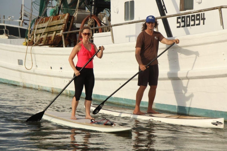 Charleston: Folly Beach stand-up paddleboard dolfijnsafariMorning Stand Up Paddleboard Dolphin Safari