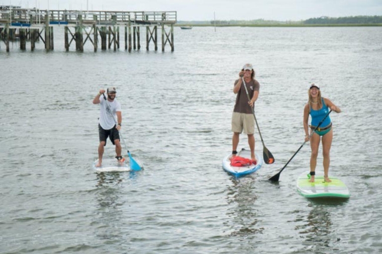 Charleston: Safari con delfines en Stand Up Paddleboard en Folly BeachSafari matutino en Stand Up Paddleboard con delfines