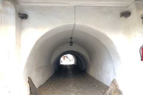 De Brasov: visite d'une demi-journée des églises fortifiées en petit groupeVisite d'une demi-journée des églises fortifiées en petit groupe en anglais