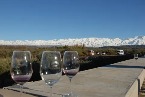 Valle de Uco: Excursão particular de 1 dia ao vinho com almoço de 3 pratos
