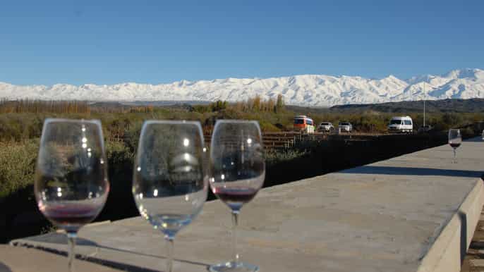 valle de uco private full day wine tour with 3course lunch