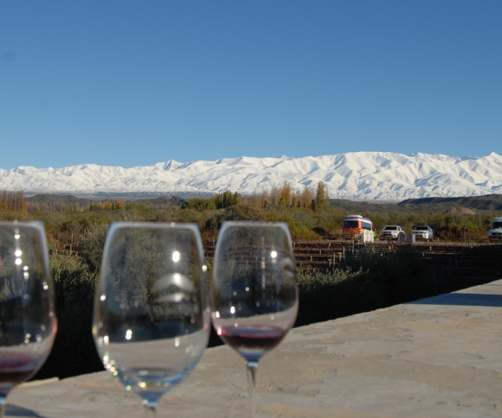 Valle de Uco: Private Full Day Wine Tour with 3-Course Lunch
