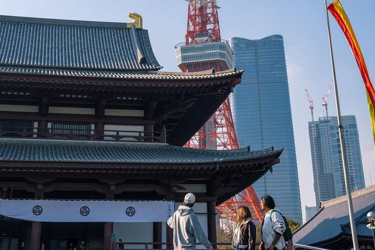 Tokyo: 1-dagars höjdpunkter med privat bil och guide
