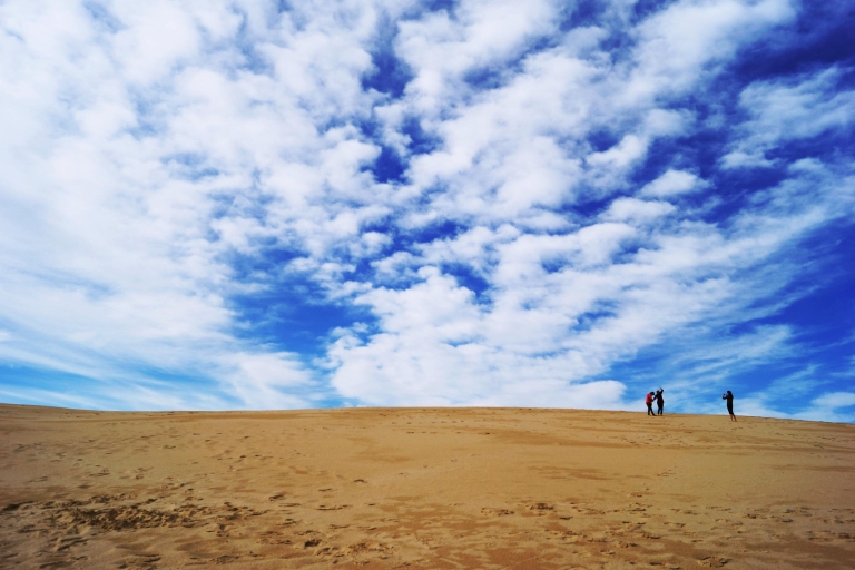Agadir: Sand Surfing ErlebnisAgadir: Erlebnis Sand-Surfen