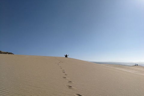 Depuis Agadir/Taghazout : Dunes de sable du Sahara avec transfert