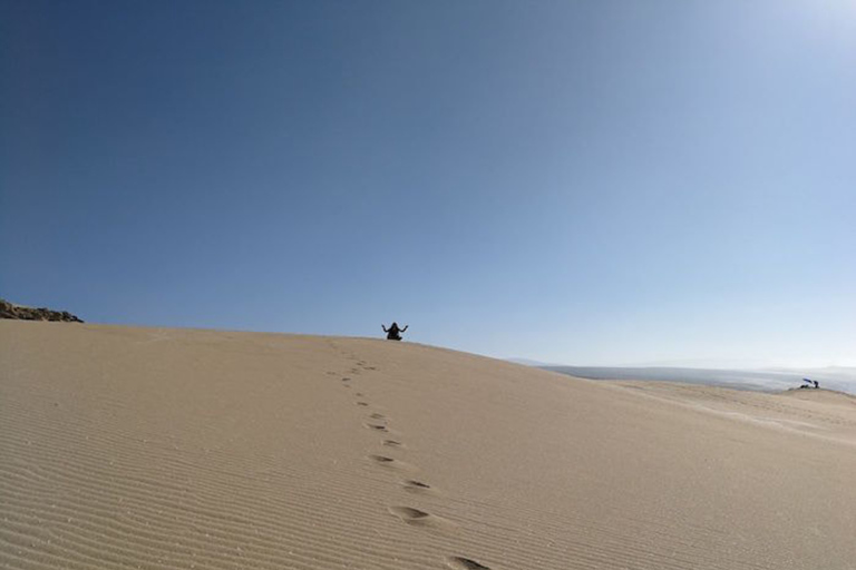 Depuis Agadir/Taghazout : Dunes de sable du Sahara avec transfert