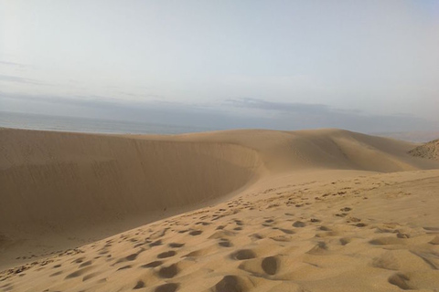 Från Agadir/Taghazout: Sahara sanddyner med transfer