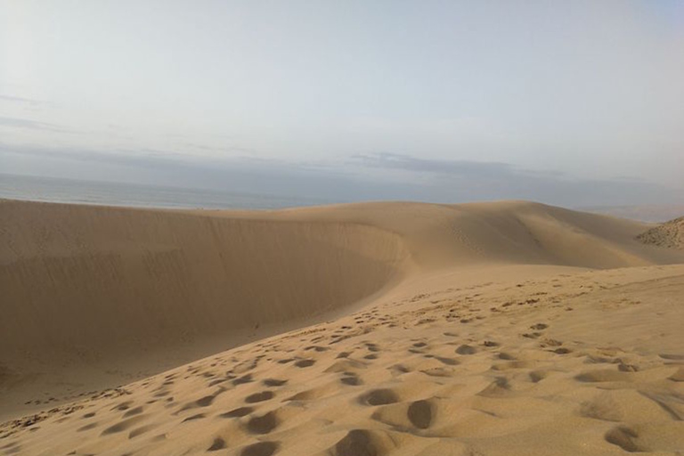 Depuis Agadir/Taghazout : Dunes de sable du Sahara avec transfert