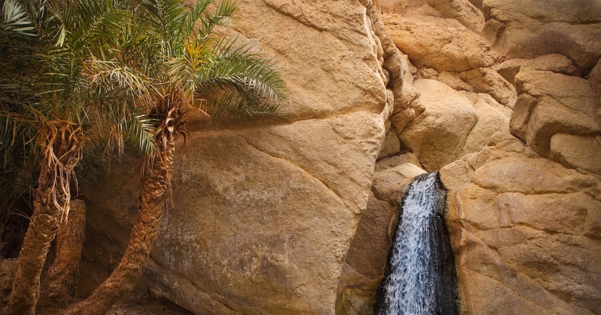 Depuis Tozeur : Tamerza, Chebika et canyon de Midès | GetYourGuide