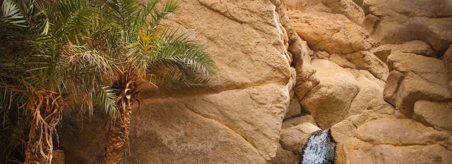 Tozeur : Excursion d'une demi-journée dans les canyons de Tamerza, Chebika et Mides