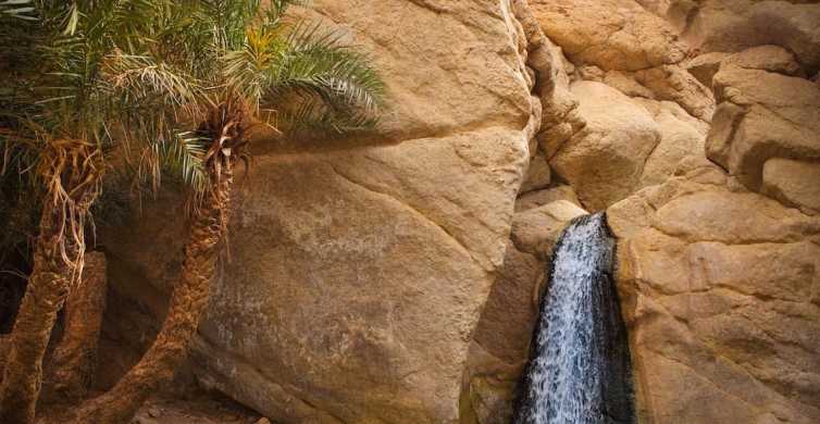 Tozeur Tamerza Chebika and Mides Canyons Half Day Trip GetYourGuide