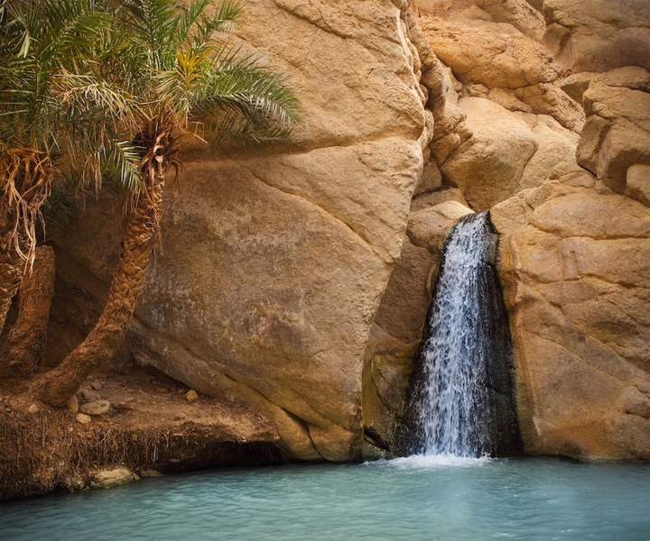 Tozeur: Tamerza, Chebika, and Mides Canyons Half-Day Trip