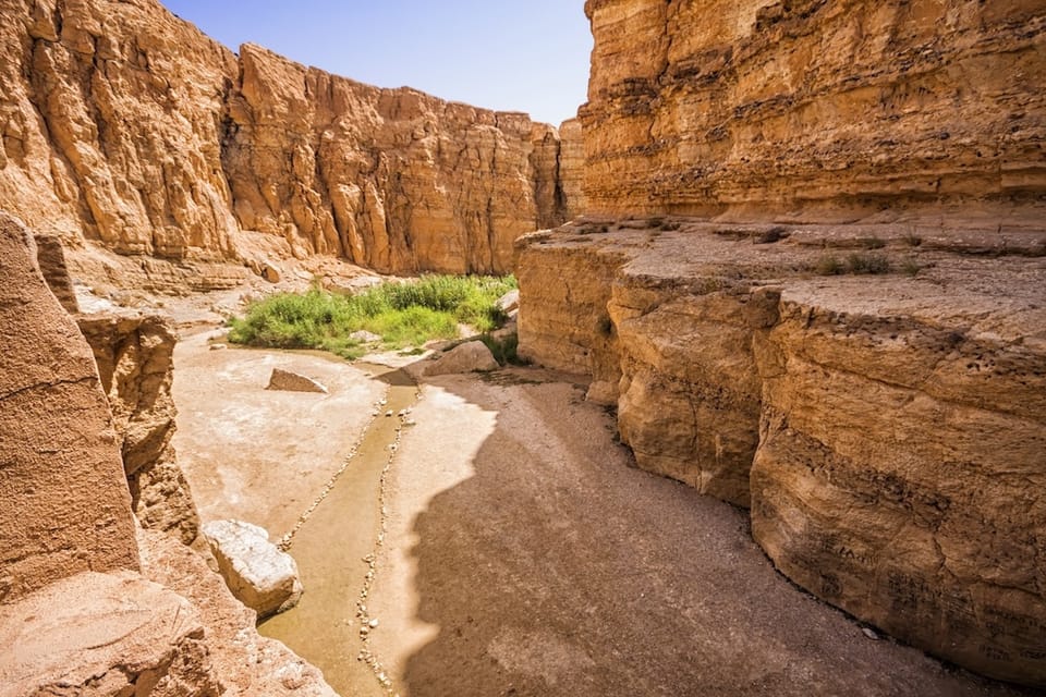 Tozeur Tamerza Chebika And Mides Canyons Half Day Trip GetYourGuide