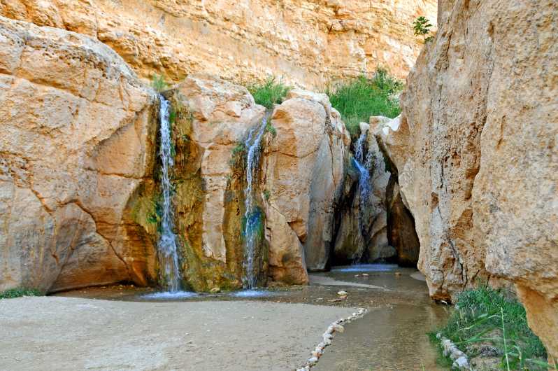 Tozeur: Tamerza, Chebika, and Mides Canyons Half-Day Trip | GetYourGuide