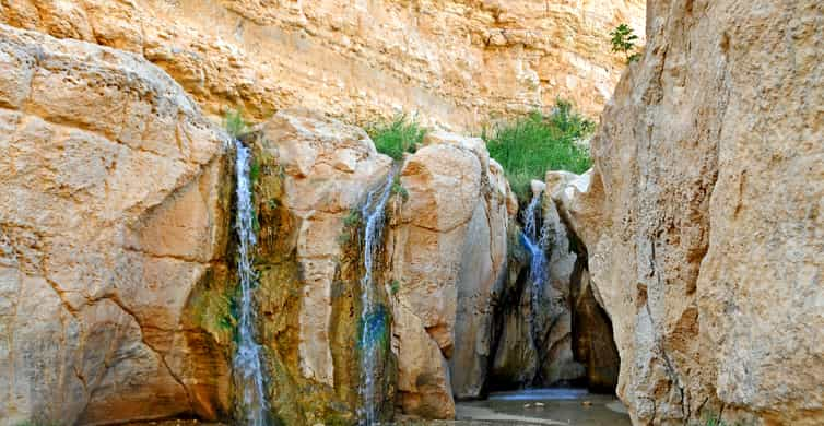 Tozeur Tamerza Chebika And Mides Canyons Half Day Trip Getyourguide